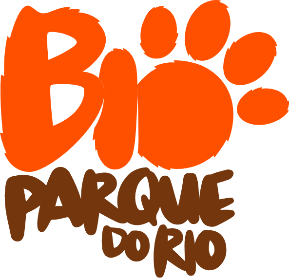 imagem_2025-05-21_181735285